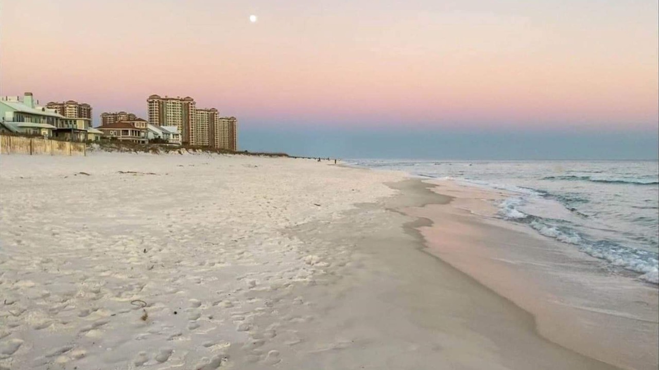 Photo of Others in Pensacola Beach