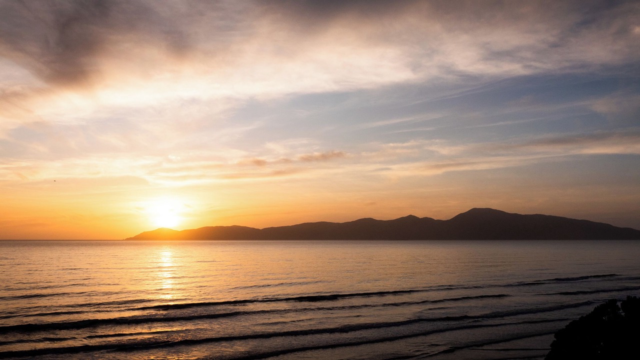 Photo of Others in Raumati South