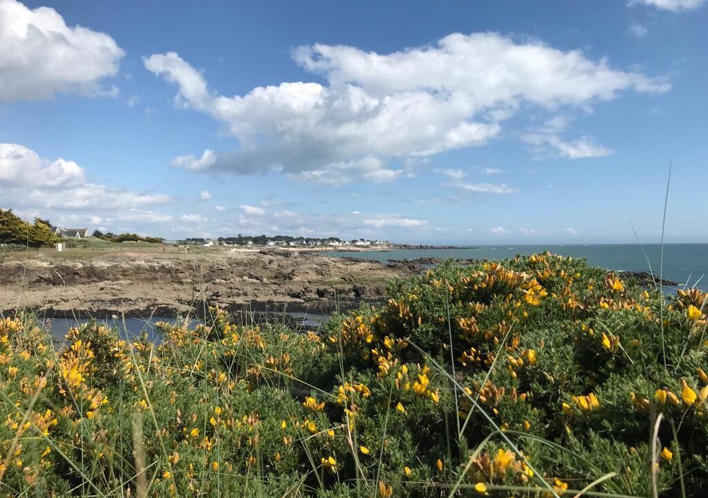 Photo of Others in Le Pouliguen