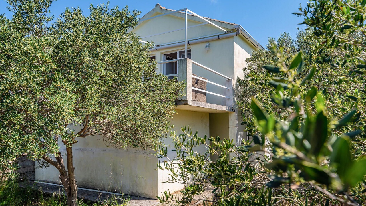 Photo of Outdoor in Molat