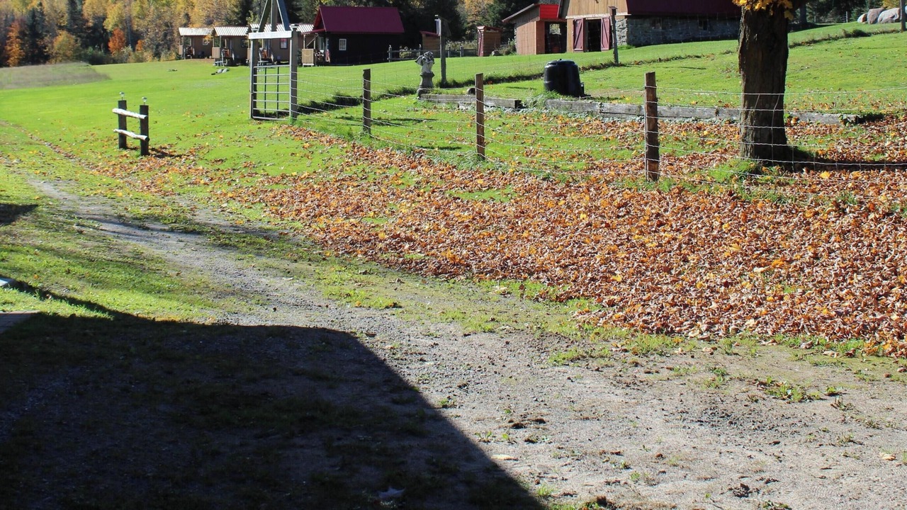 Photo of Outdoor in Hastings Highlands