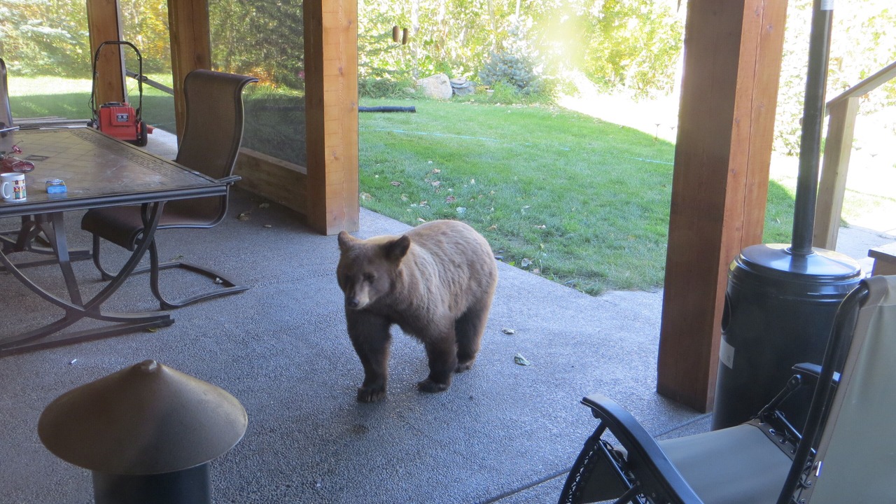Photo of Outdoor in Babb
