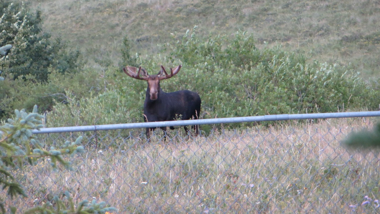Photo of Outdoor in Babb