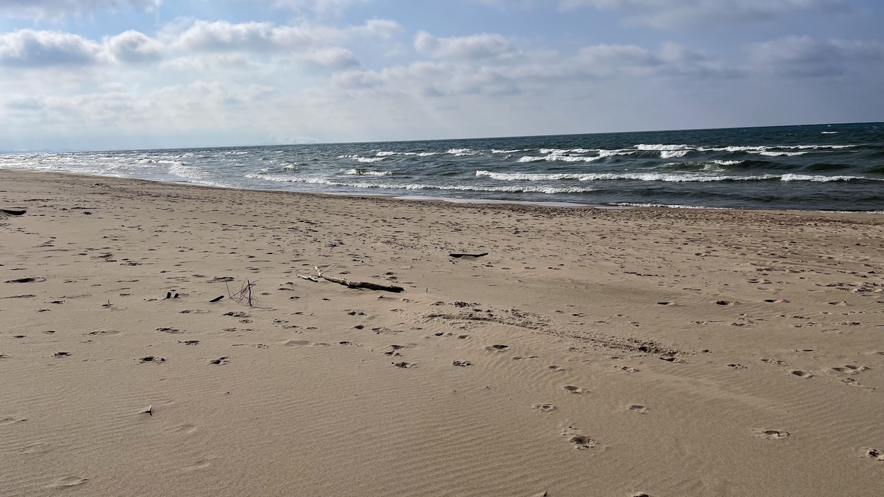 Photo of Outdoor in Miller Beach