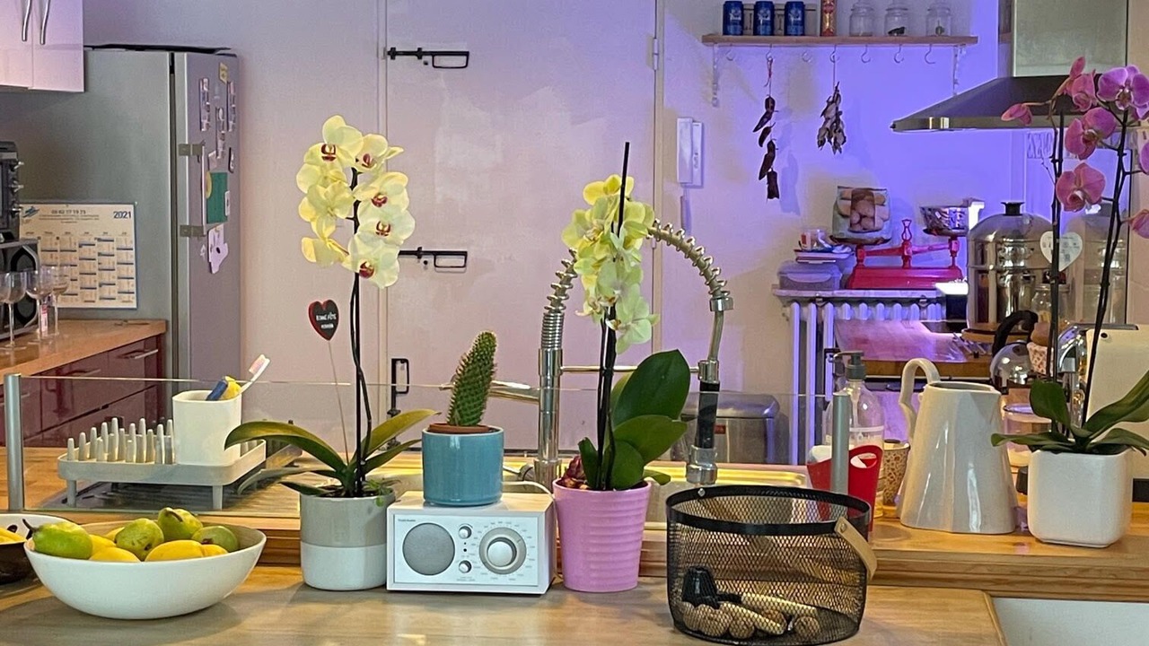 Photo of Kitchen in Cote Pavee