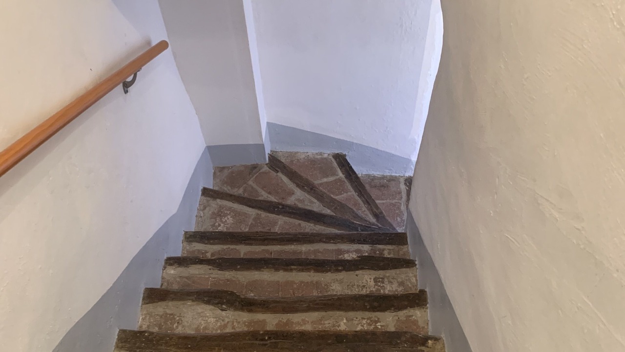 Photo of Others in Camelas