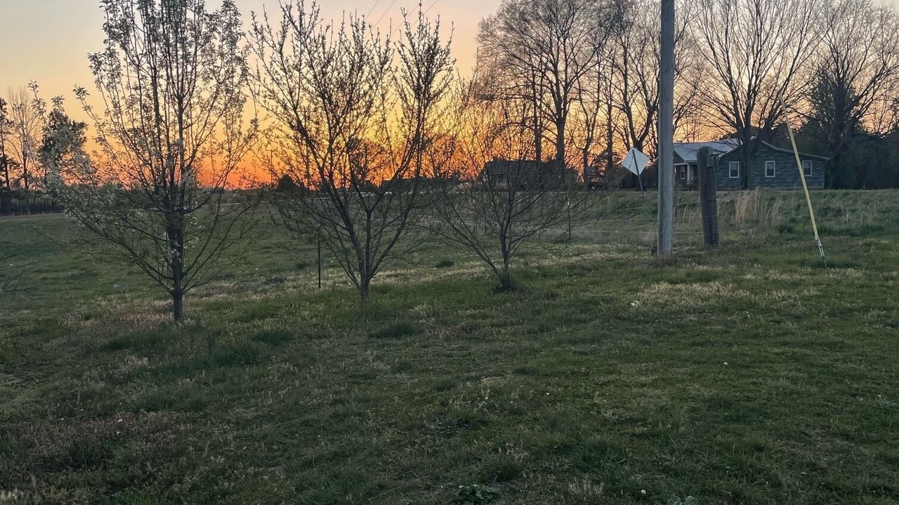 Photo of Outdoor in Rogersville