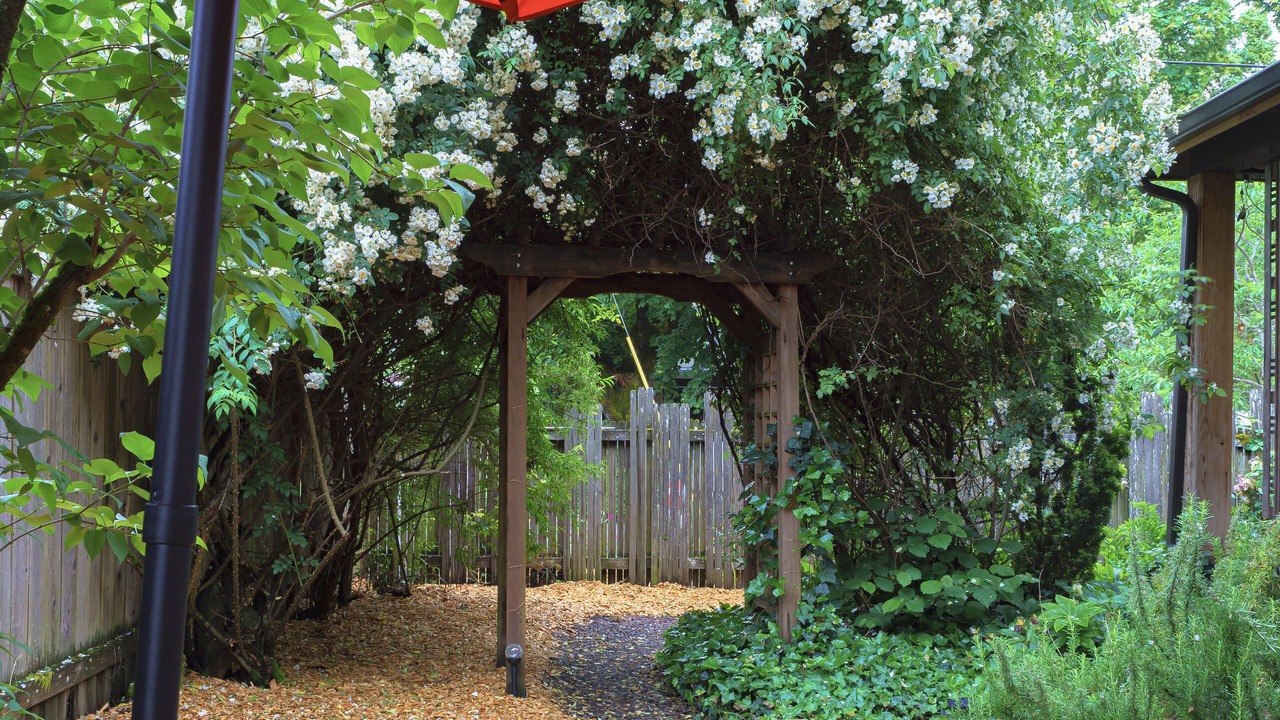 Photo of Patio Balcony in West Eugene
