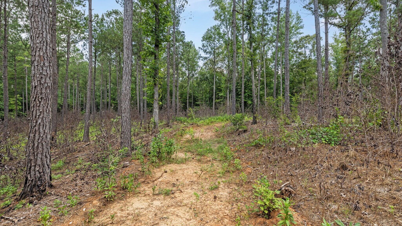 Photo of Others in Elberton