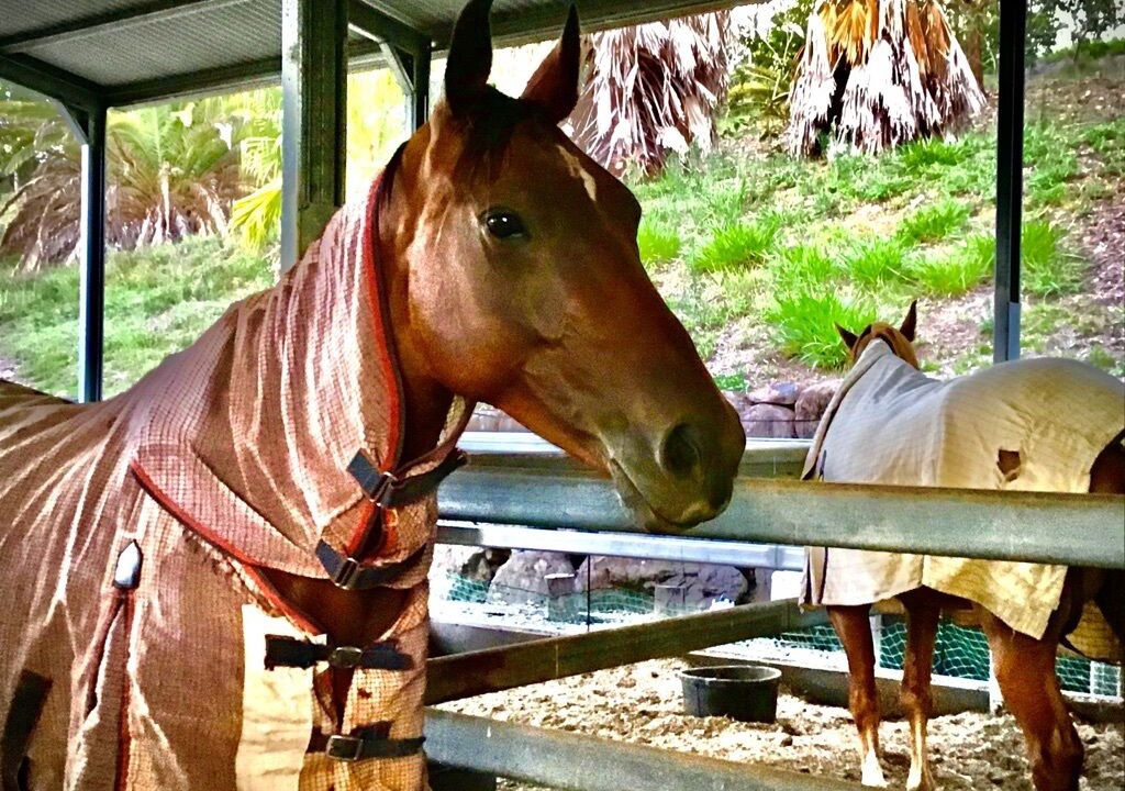 Photo of Others in Mount Nathan