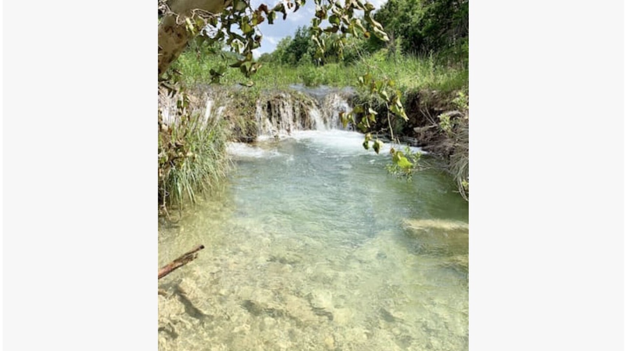 Photo of Others in Blanco