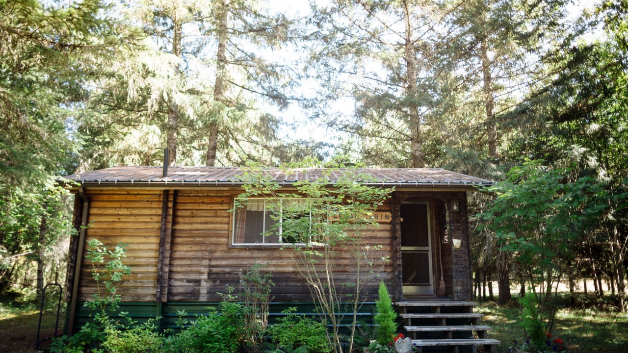 Photo of Outdoor in Packwood