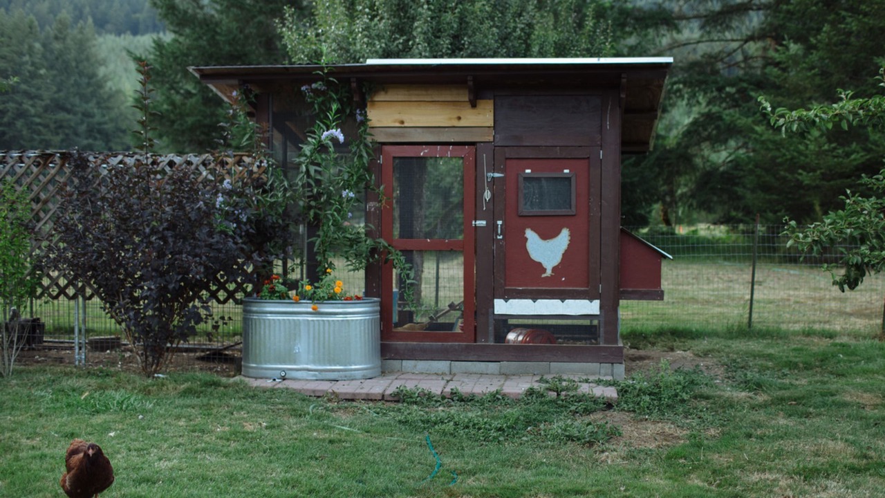 Photo of Outdoor in Packwood