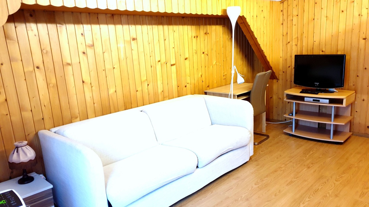 Photo of Livingroom in Grono
