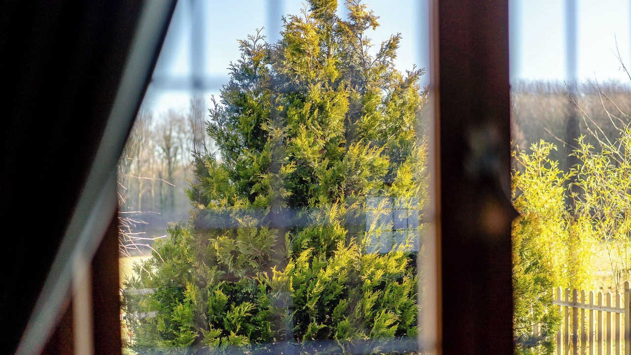 Photo of Others in Challock