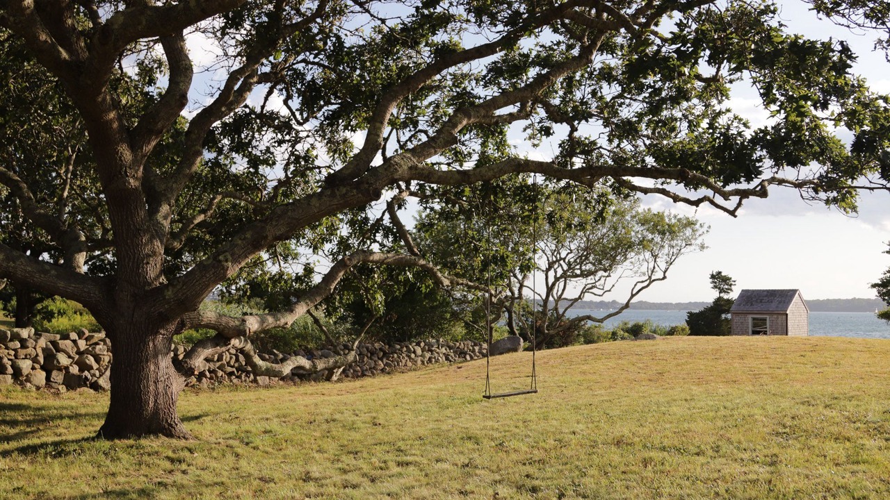 Photo of Outdoor in Chilmark