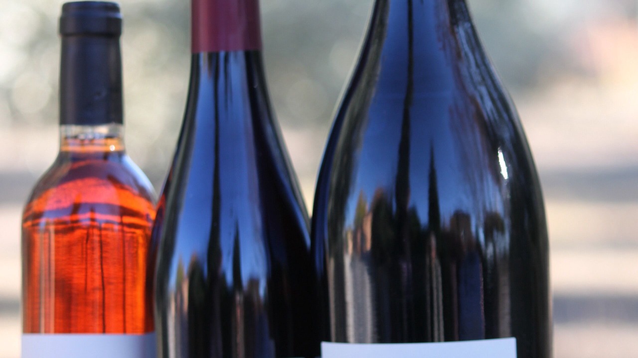 Photo of Others in Malemort-du-Comtat