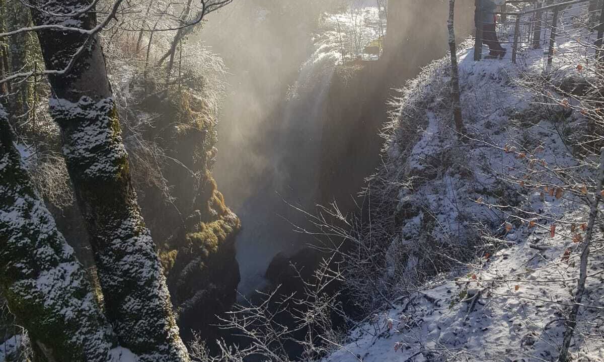 Photo of Others in Mournans