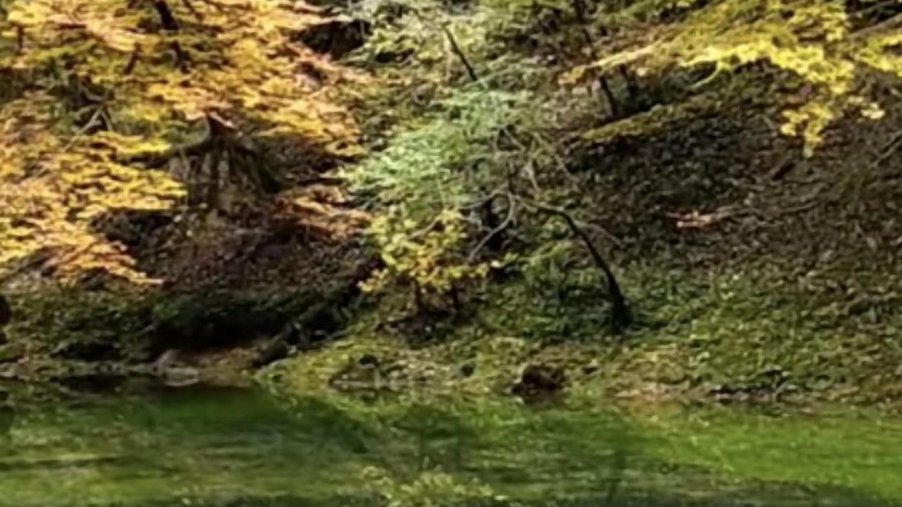 Photo of Others in Mournans