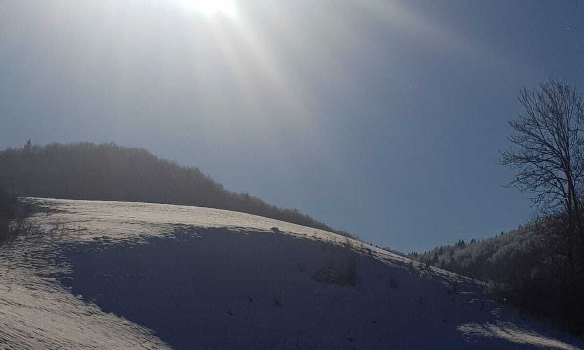 Photo of Others in Mournans