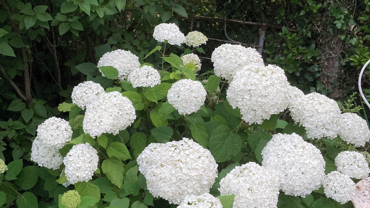 Photo of Outdoor in Orgeval