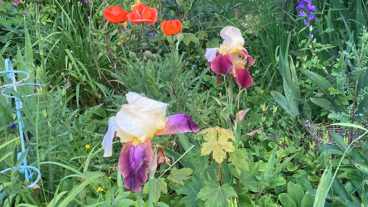 Photo of Outdoor in Orgeval