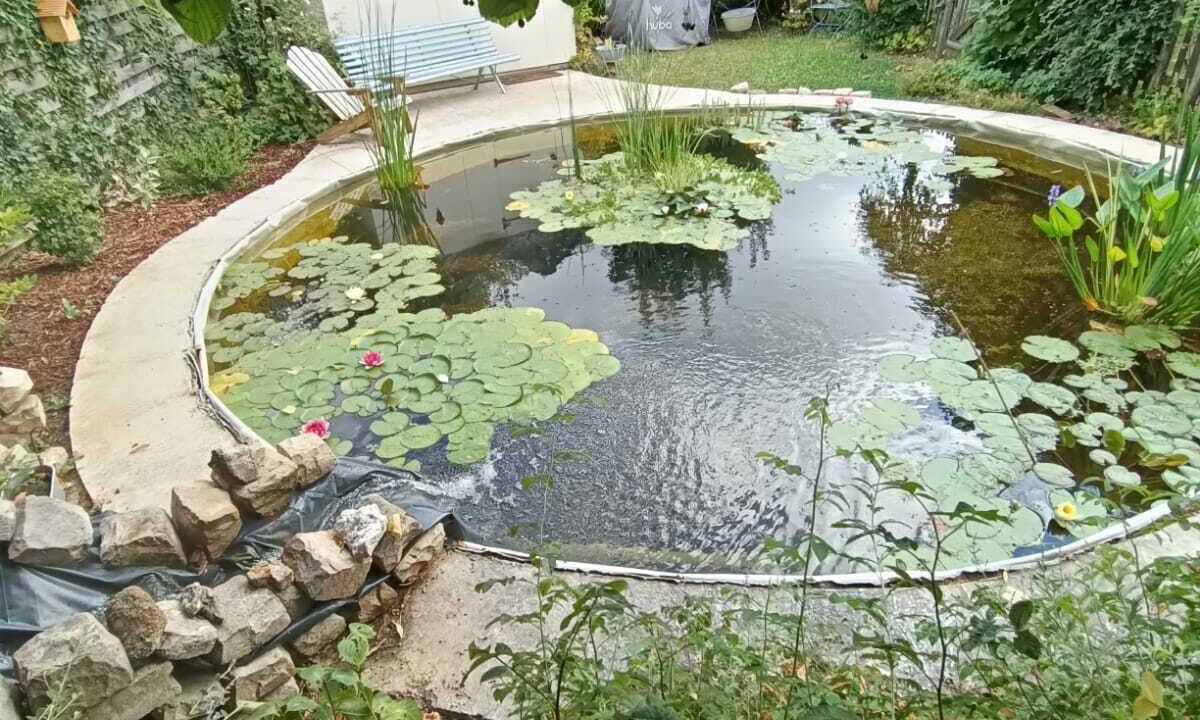 Photo of Outdoor in Orgeval