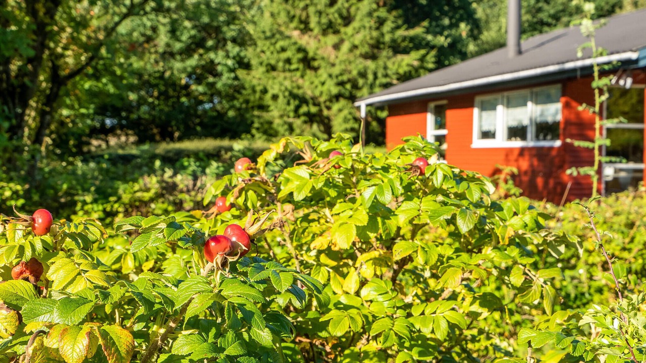 Photo of Others in Hesselbjerg