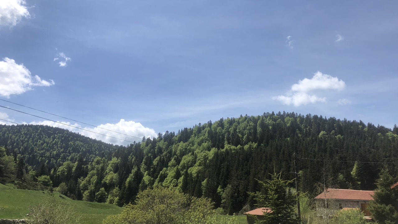 Photo of Outdoor in Borne