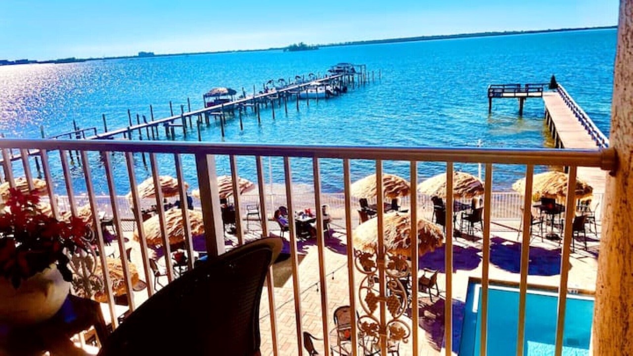Photo of Outdoor in Dunedin