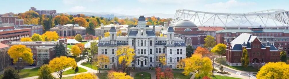 Photo of Others in Syracuse