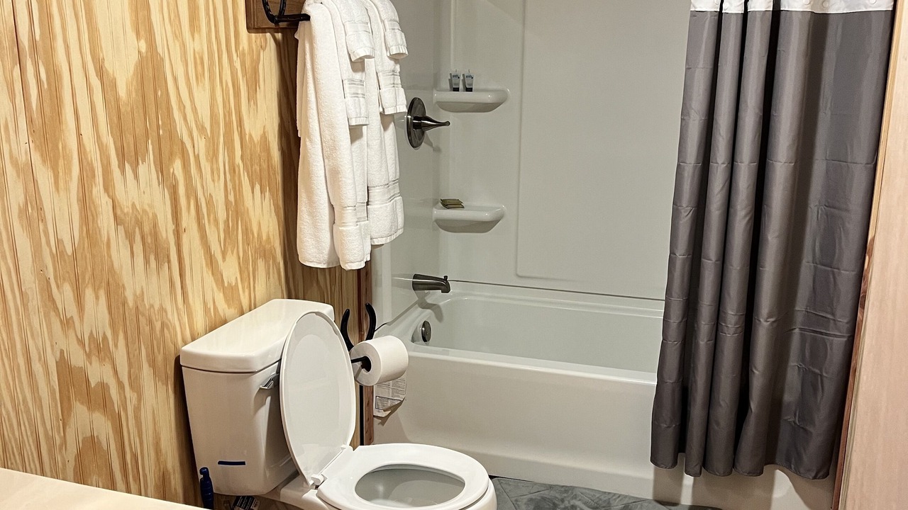 Photo of Bathroom in Black