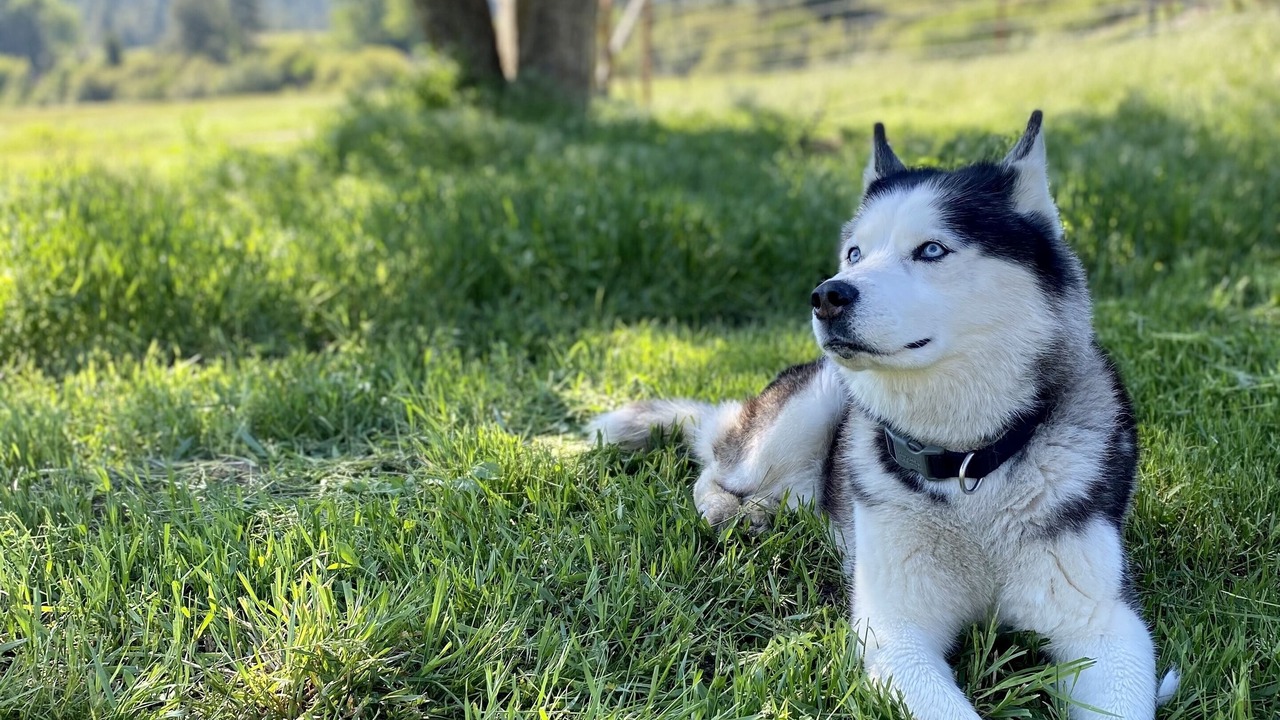 Photo of Others in Alberton