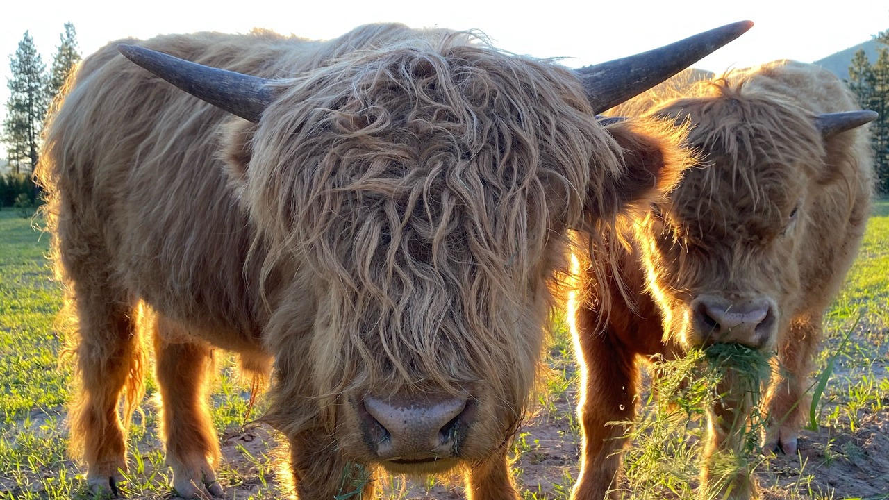 Photo of Others in Alberton