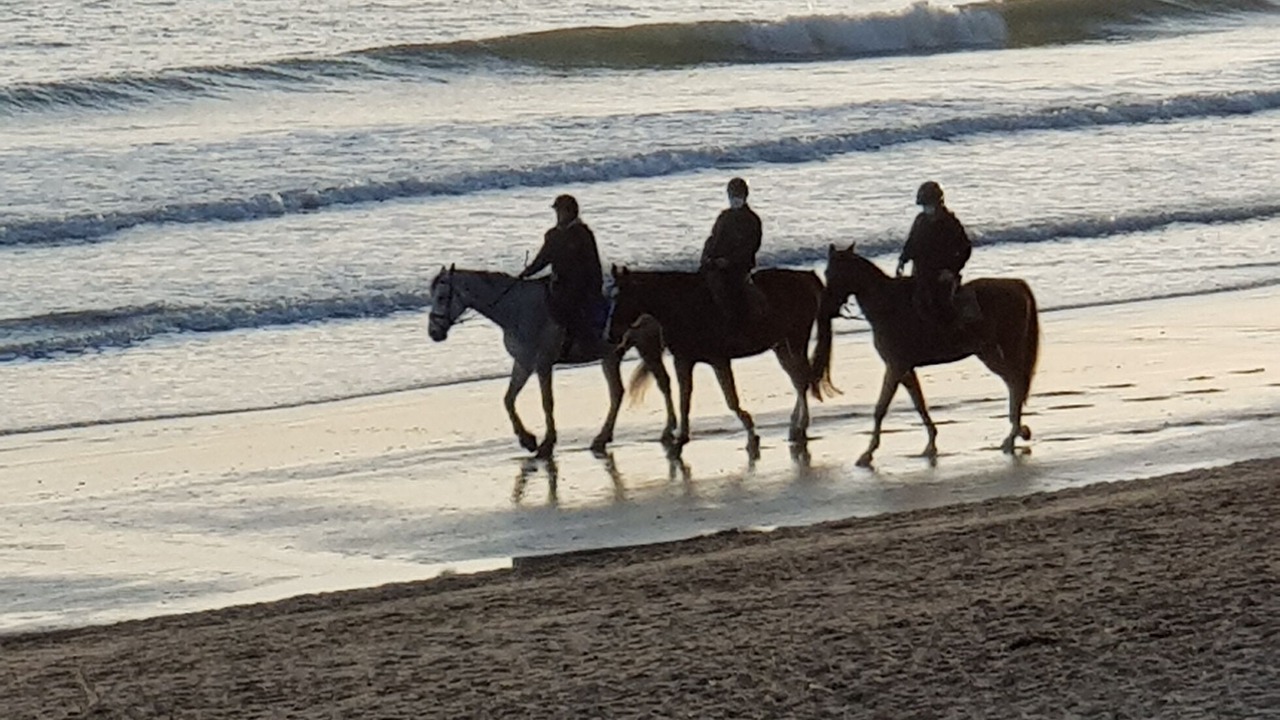 Photo of Others in La Baule-Escoublac