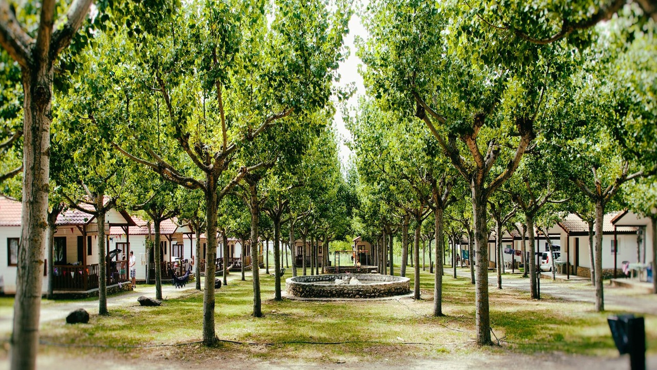 Photo of Outdoor in La Puebla de Roda
