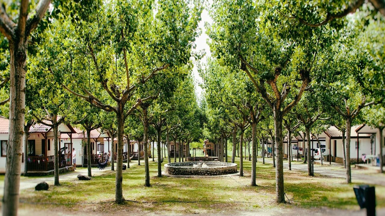 Photo of Outdoor in La Puebla de Roda