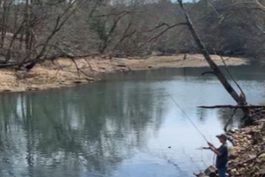 Photo of Others in Murfreesboro