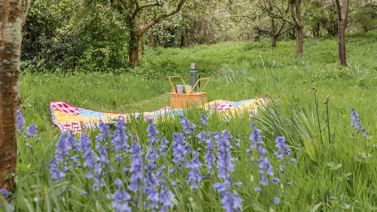 Photo of Outdoor in Old Cleeve