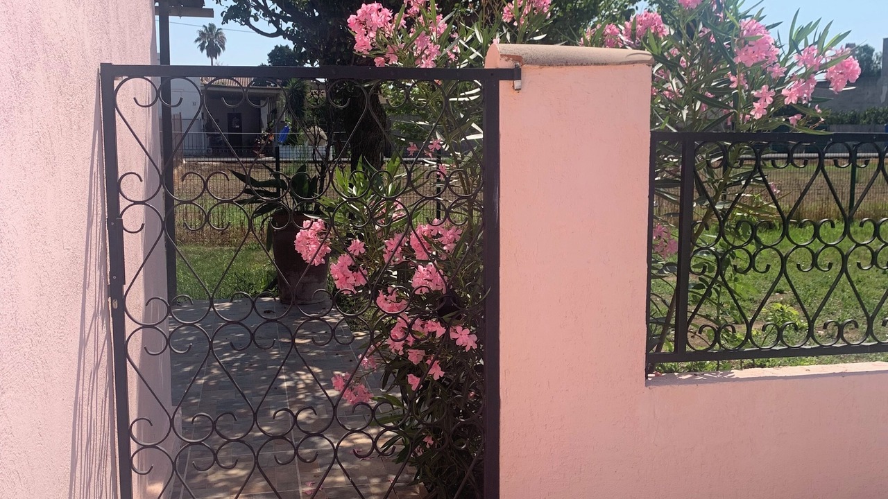 Photo of Outdoor in Deltebre