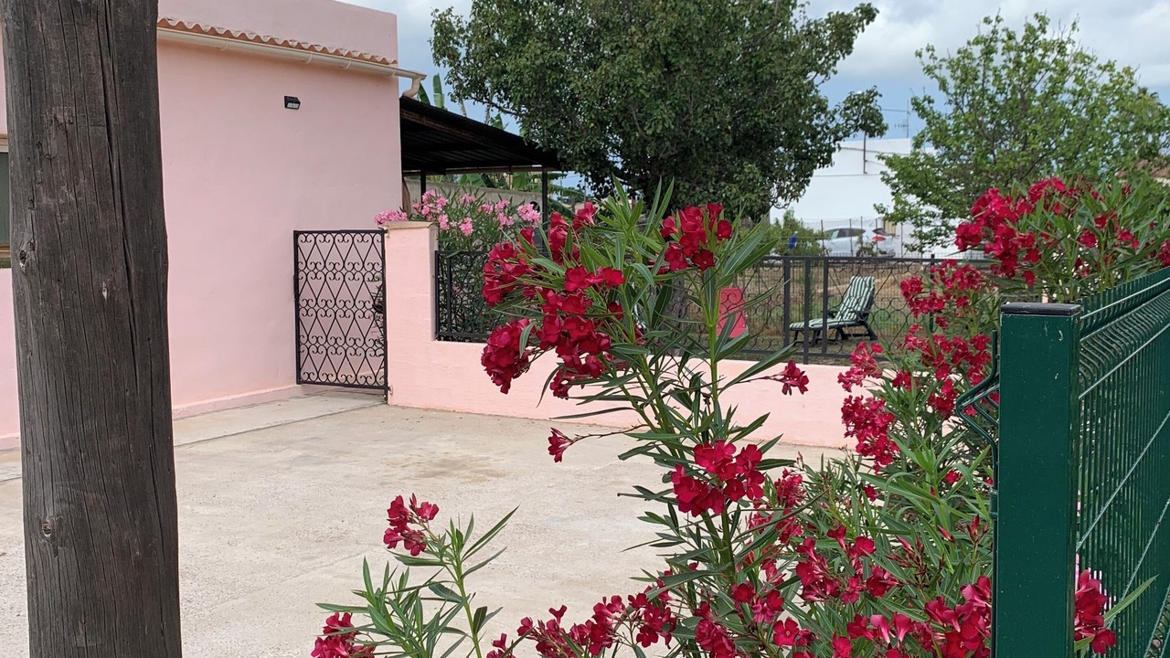 Photo of Outdoor in Deltebre