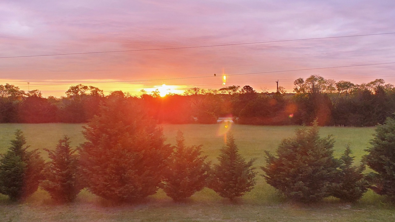 Photo of Outdoor in Cape Charles