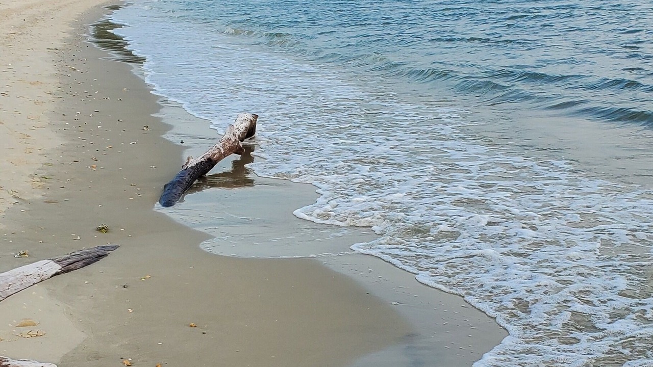 Photo of Others in Cape Charles