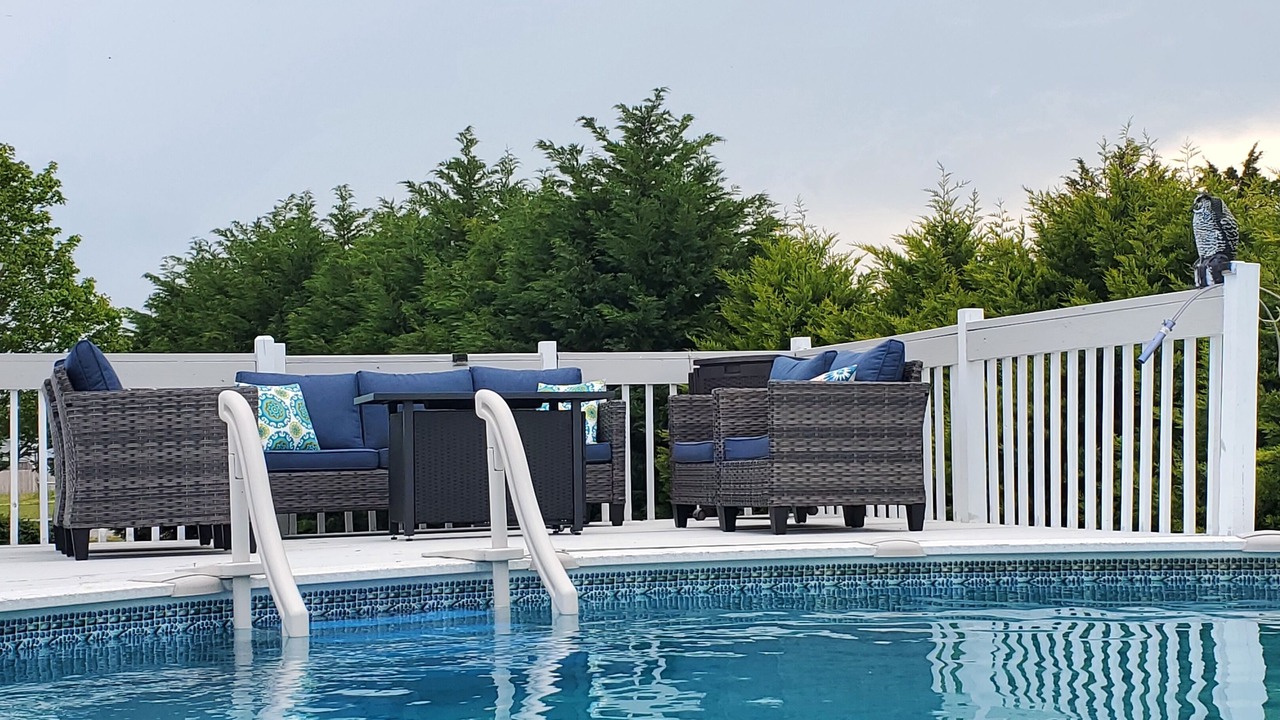 Photo of Outdoor in Cape Charles