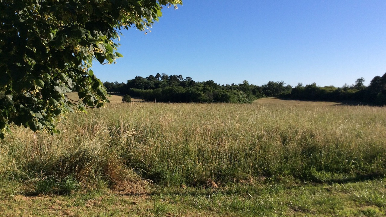 Photo of Outdoor in Pays-de-Belves