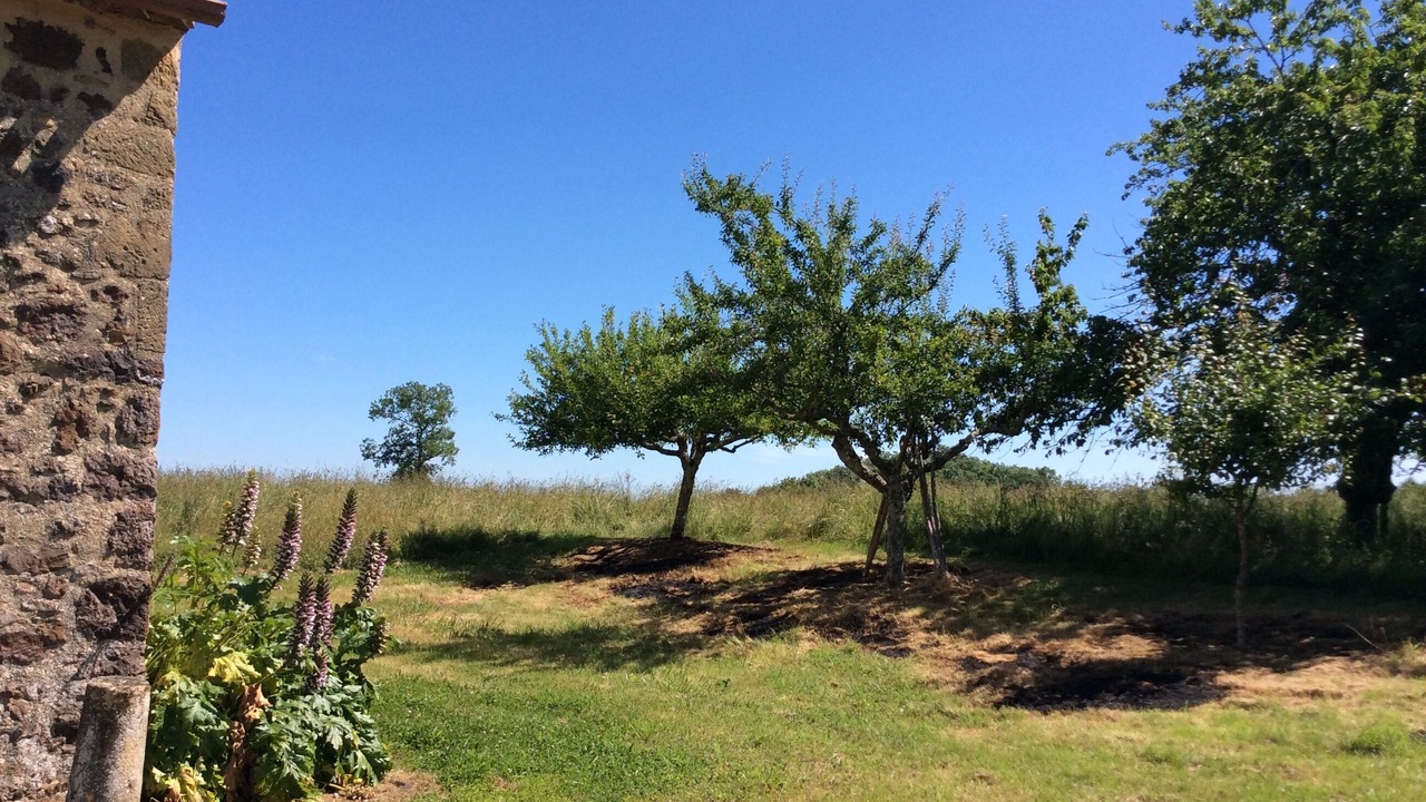 Photo of Outdoor in Pays-de-Belves