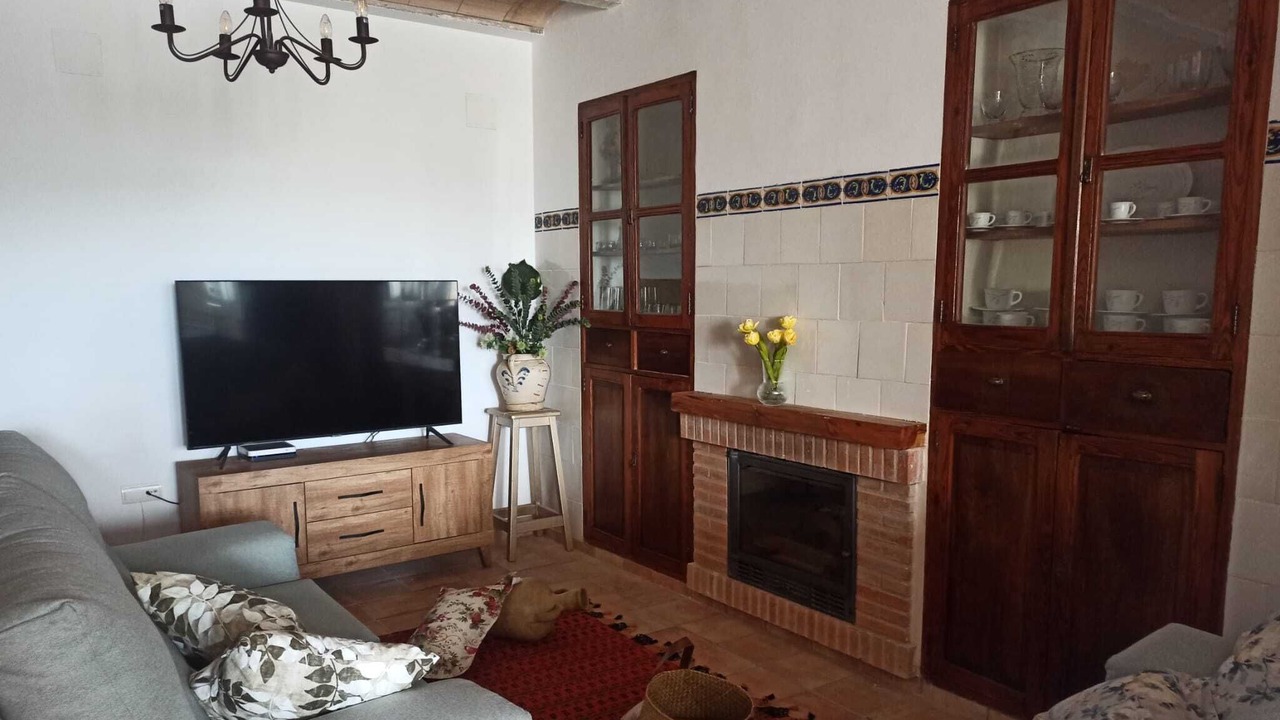 Photo of Livingroom in Castellon Province
