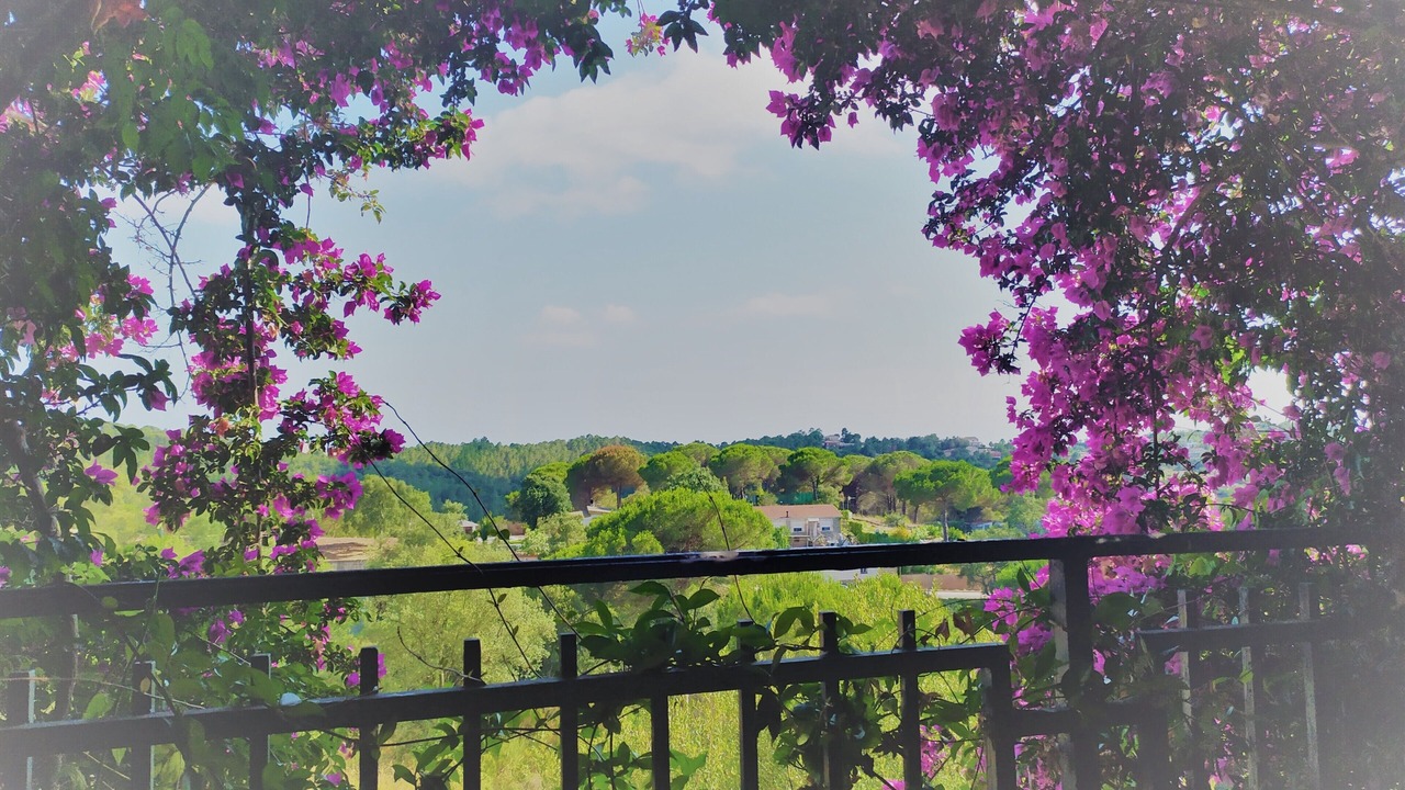 Photo of Outdoor in Lloret de Mar