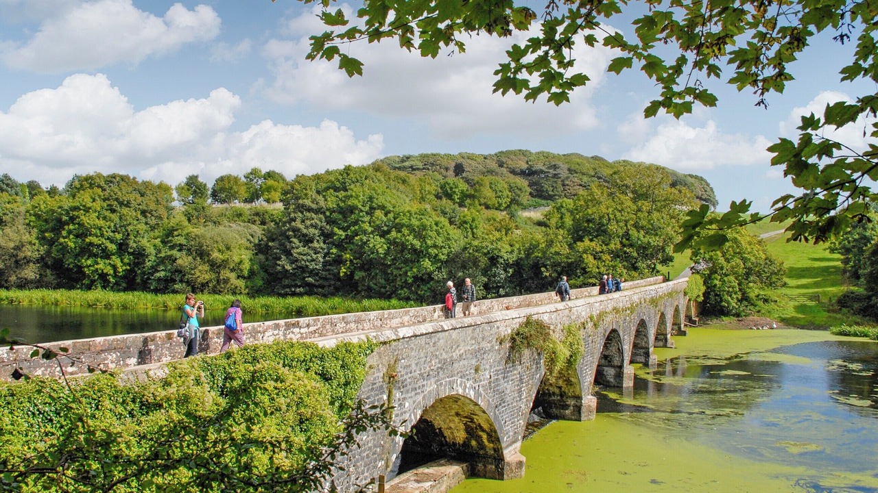 Photo of Others in Neyland