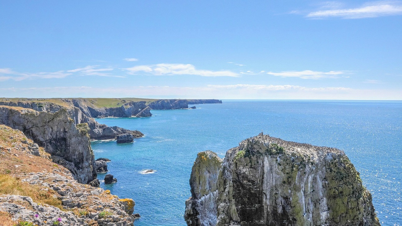 Photo of Others in Neyland